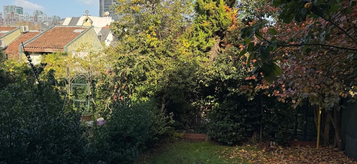 bahçeşehir psikolog